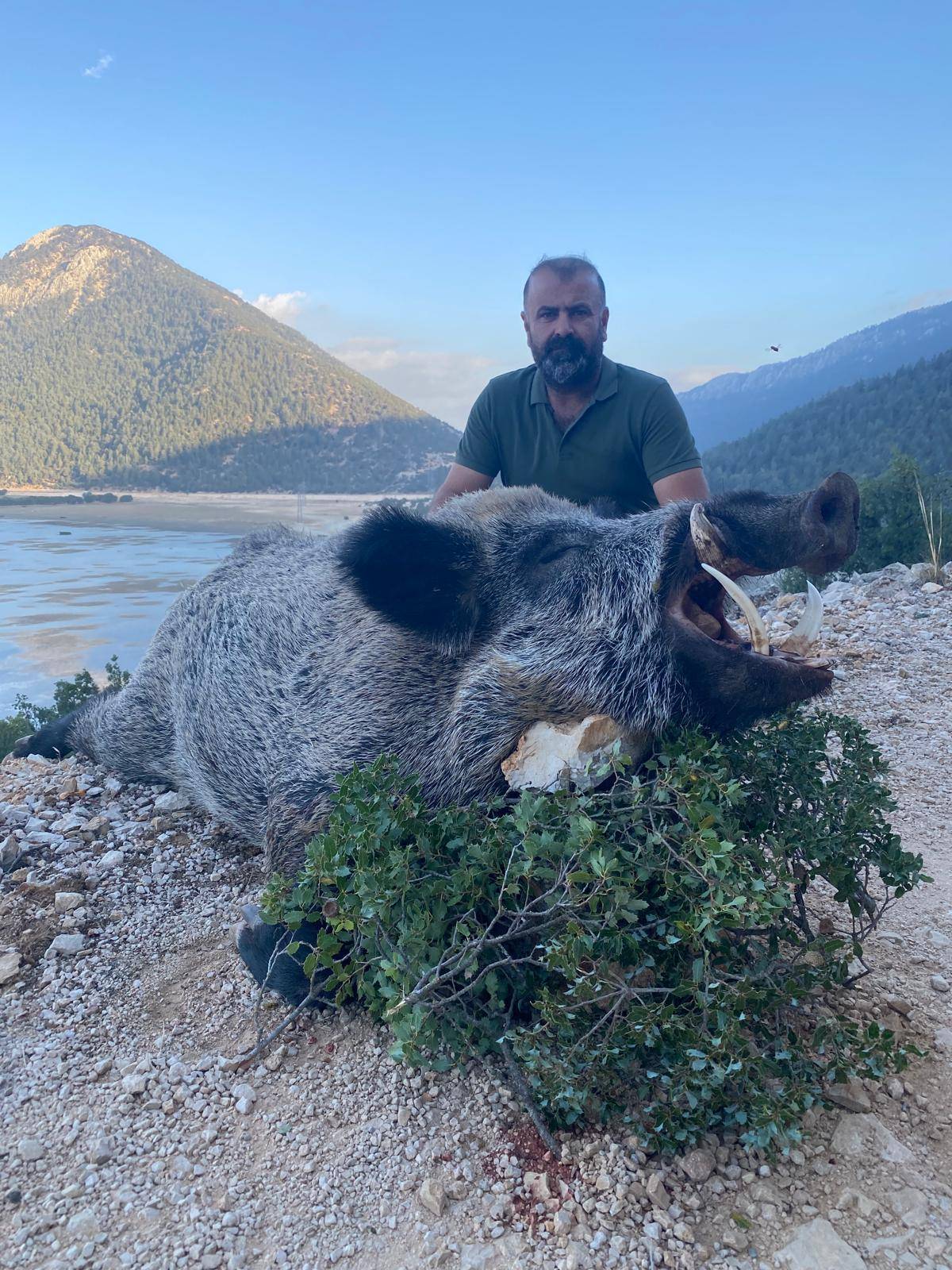 Wild boar hunting operation in the natural Taurus Mountains of Antalya