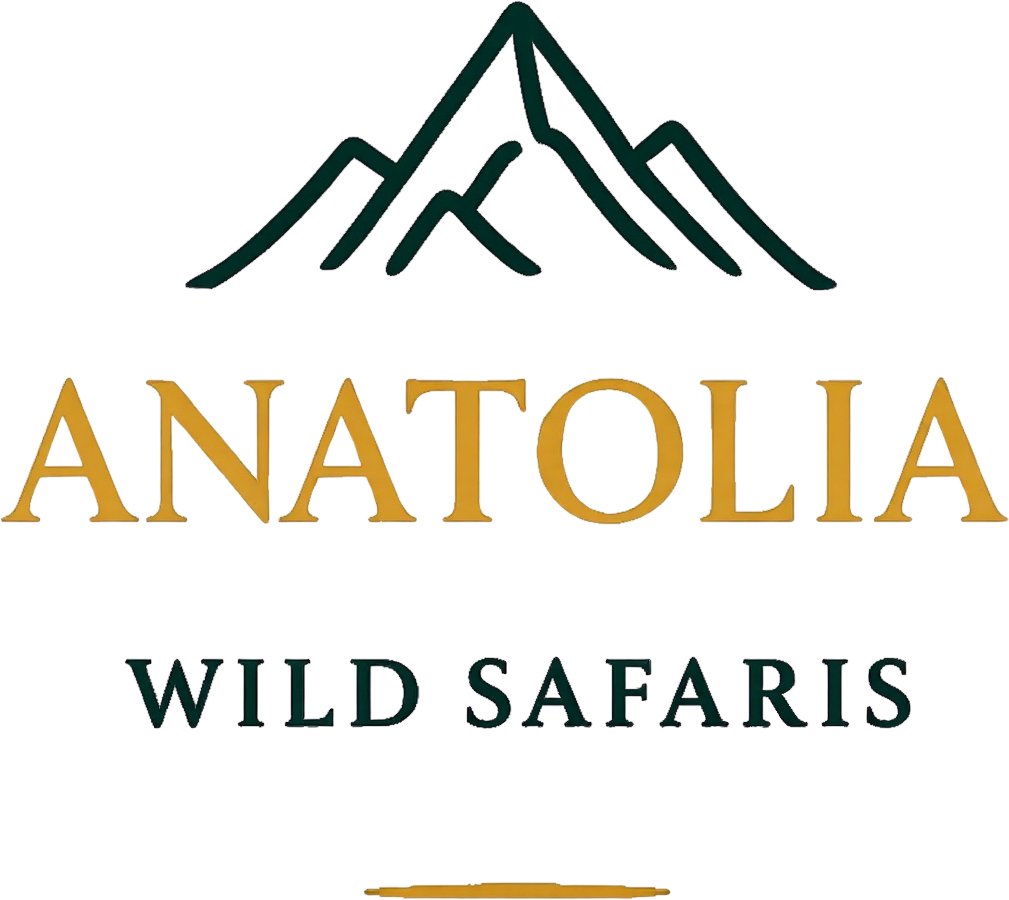 Anatolia Wild Safaris logo