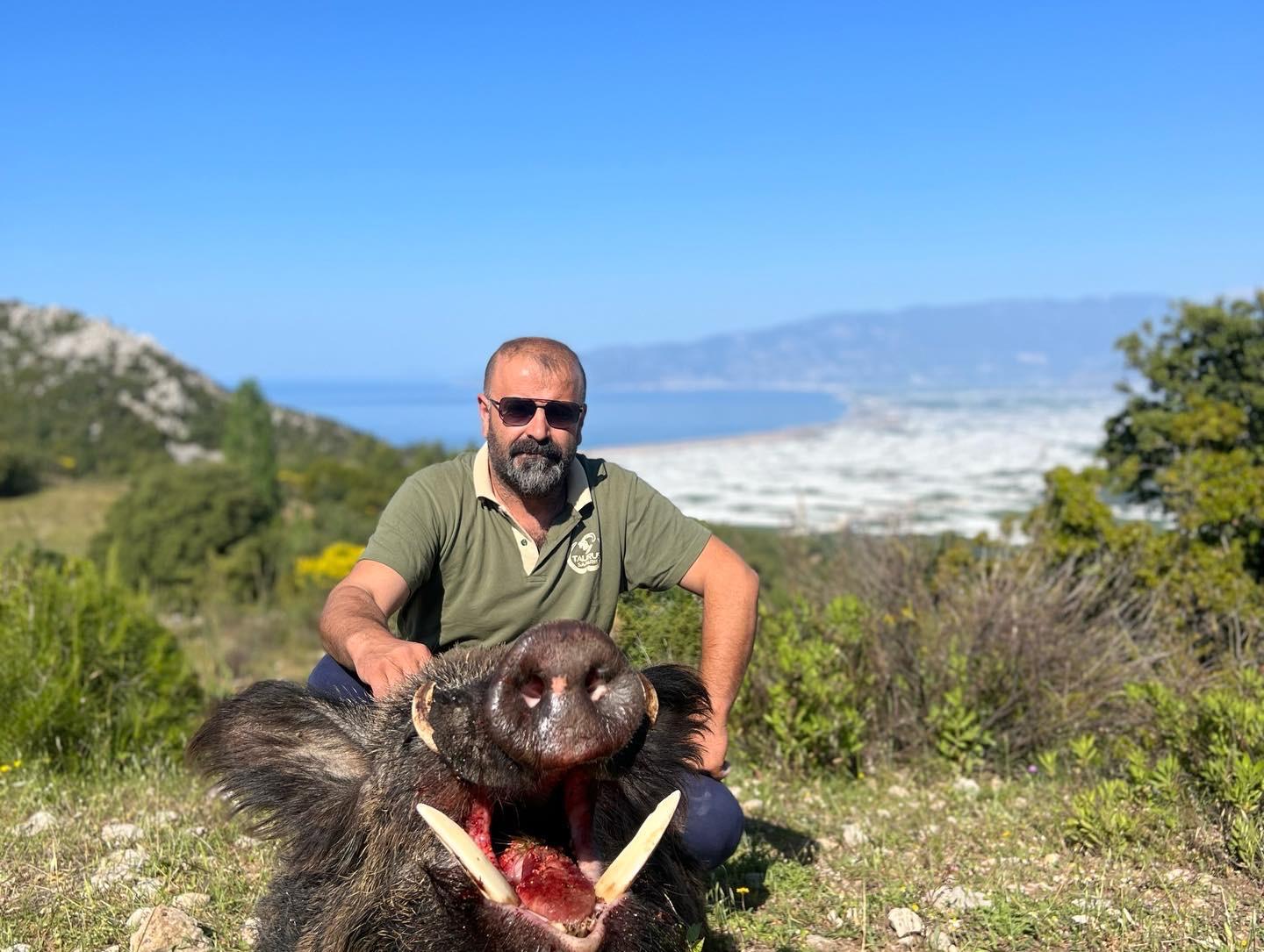 Trophy Anatolian wild boar with long tusks taken in mountain terrain in Turkey