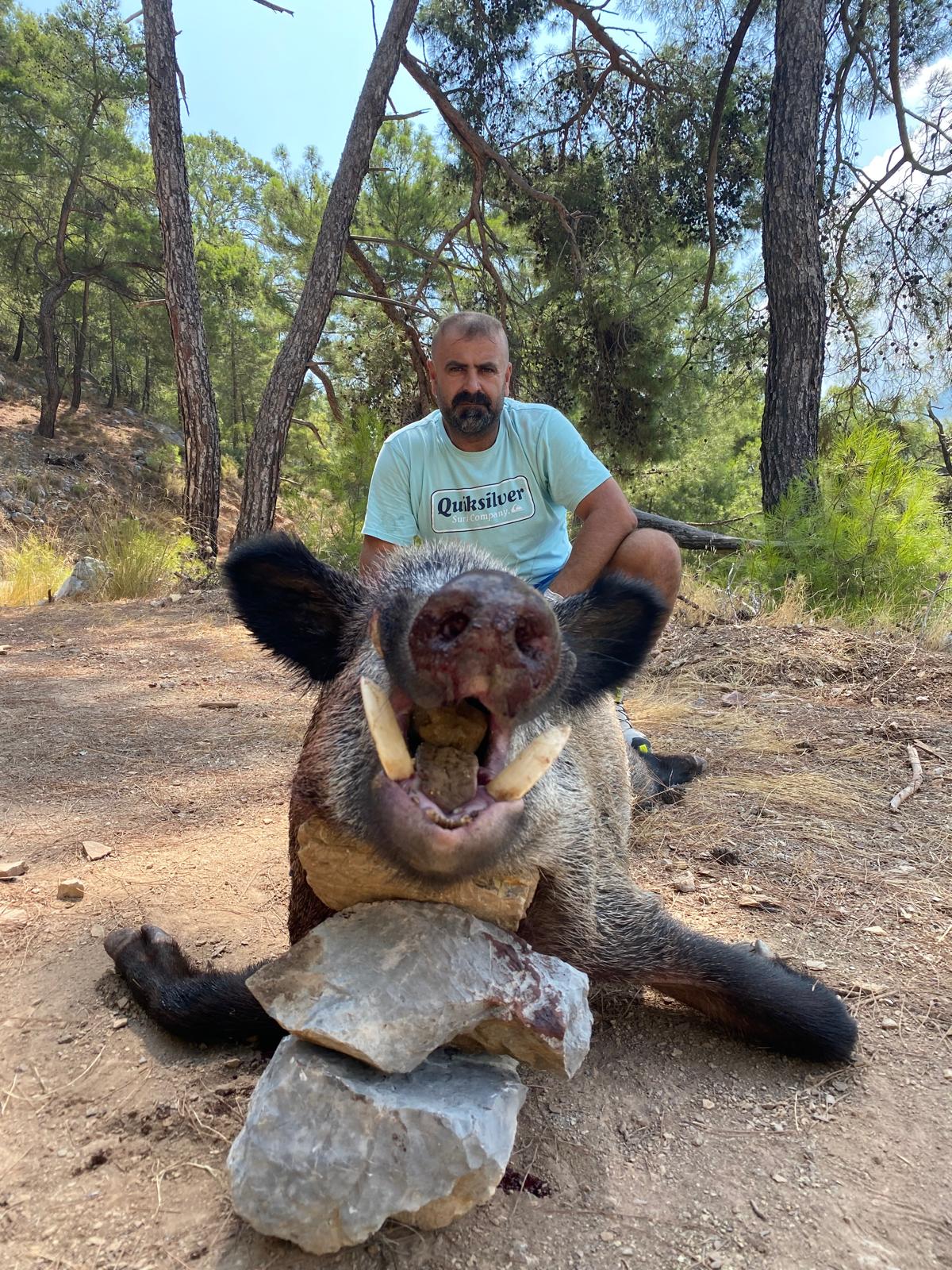Wild boar hunting terrain in Antalya