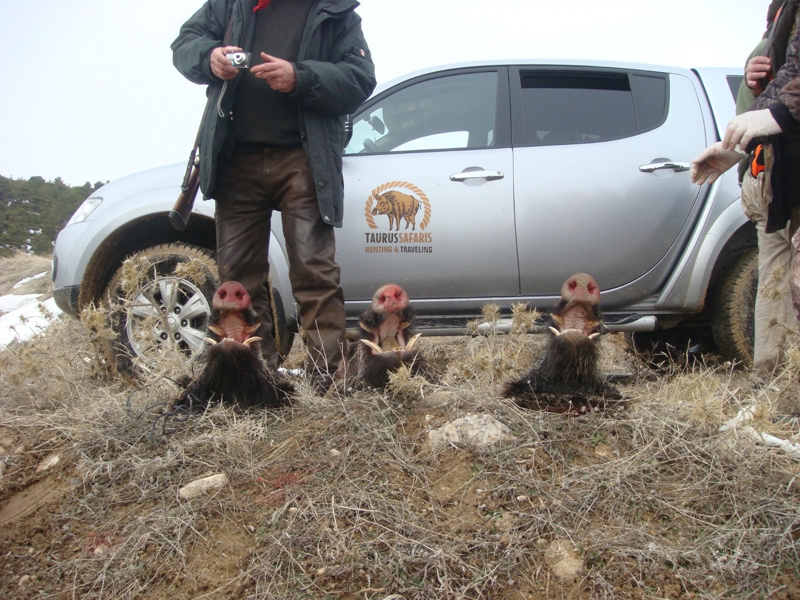 Hunting safari group in natural mountain terrain